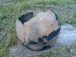 post-413-075862100 1281545241_thumb.jpg