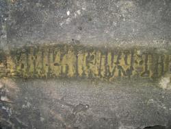 post-4269-000072700 1282875641_thumb.jpg