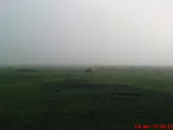 post-488-051516700 1280930232_thumb.jpg