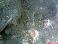 post-548-010632000 1282649285_thumb.jpg