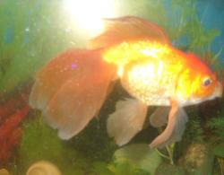 post-1131-0-05785700-1314294719_thumb.jp