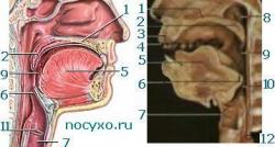 post-1131-0-61209500-1314806718_thumb.jp