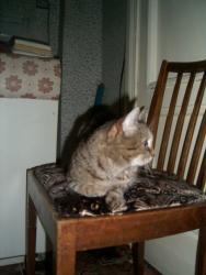 post-2102-0-32919100-1314220378_thumb.jp