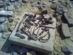 post-2863-0-10178100-1314375362_thumb.jp