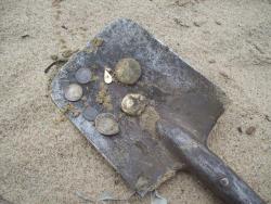 post-2863-0-42702400-1314505248_thumb.jp