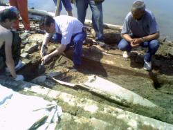 post-2863-0-94068800-1314375214_thumb.jp