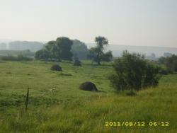 post-3939-0-06744200-1313426399_thumb.jp