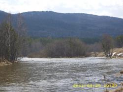 post-3939-0-09132600-1313502397_thumb.jp