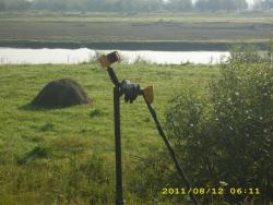 post-3939-0-19407900-1313426320_thumb.jp