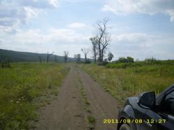 post-3939-0-20273000-1312988026_thumb.jp