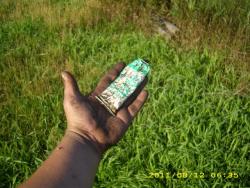 post-3939-0-54842600-1313426451_thumb.jp