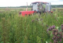 post-4269-0-27091200-1312789358_thumb.jp