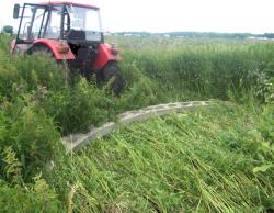 post-4269-0-54693600-1312789534_thumb.jp