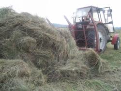 post-4269-0-61970000-1313426838_thumb.jp