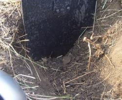 post-4269-0-73445900-1313427639_thumb.jp