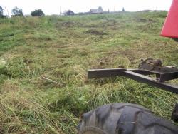 post-4269-0-86417100-1312789657_thumb.jp