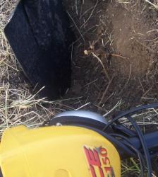 post-4269-0-93832200-1313427591_thumb.jp