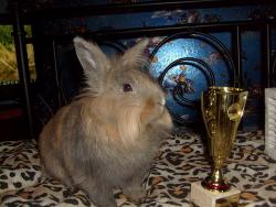 post-4445-0-41944600-1314173725_thumb.jp