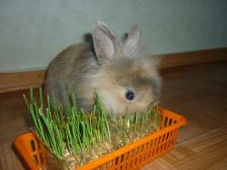 post-4445-0-66512400-1314173638_thumb.jp