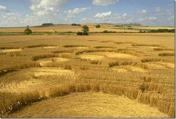 post-4489-0-07789500-1313778240_thumb.jp