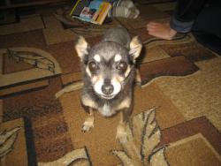 post-4655-0-53354600-1314196433_thumb.jp