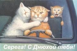 post-5029-0-76697600-1313550383_thumb.jp