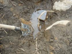 post-5473-0-64651300-1314038228_thumb.jp