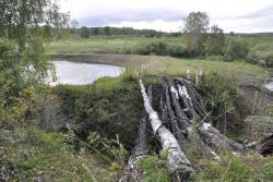 post-6129-0-65011000-1314540921_thumb.jp