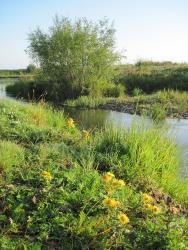 post-6245-0-04704200-1313344031_thumb.jp