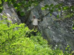 post-6342-0-34974200-1313118574_thumb.jp