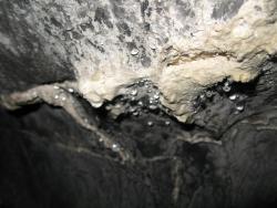 post-6342-0-40976900-1313126548_thumb.jp