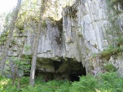 post-6342-0-68420700-1313124611_thumb.jp