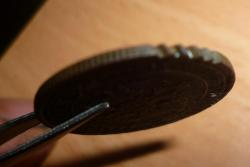 post-6691-0-54667100-1313510665_thumb.jp