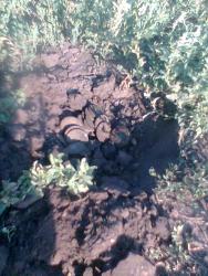 post-6726-0-18894800-1312212887_thumb.jp