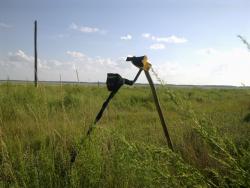 post-7218-0-70749800-1314609633_thumb.jp