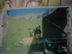 post-7225-0-69118600-1312267081_thumb.jp