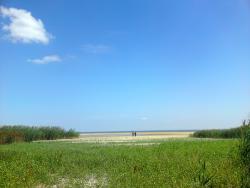 post-7244-0-00778700-1313989040_thumb.jp