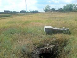 post-7244-0-12959300-1313990209_thumb.jp