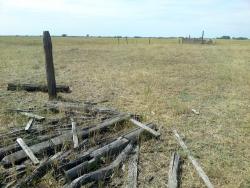 post-7244-0-47311500-1313989715_thumb.jp