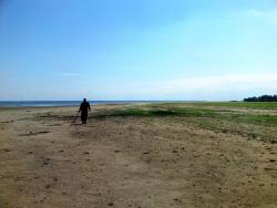 post-7244-0-62480300-1313989197_thumb.jp