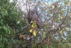 post-7249-0-12632700-1312691806_thumb.jp