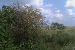 post-7249-0-63782700-1312691657_thumb.jp