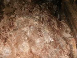 post-7485-0-72442000-1312373426_thumb.jp