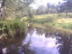 post-7629-0-66402300-1314023402_thumb.jp