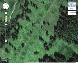 post-1028-0-66419900-1345473258_thumb.jp