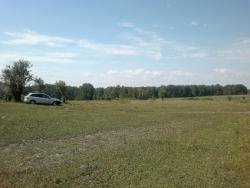 post-10637-0-12342300-1344515128_thumb.j