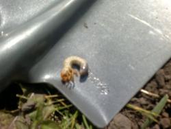 post-10637-0-49704600-1344515175_thumb.j