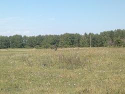 post-10637-0-83287000-1344515136_thumb.j