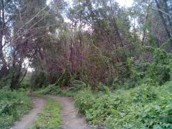 post-11938-0-11349200-1345104165_thumb.j