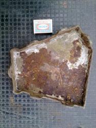 post-12000-0-85668600-1343829806_thumb.j